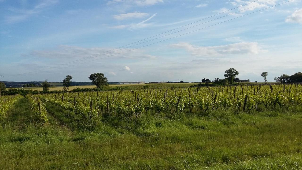 Gite-Civray-De-Touraine Maison De Denise Civray-de-Touraine Exterior foto